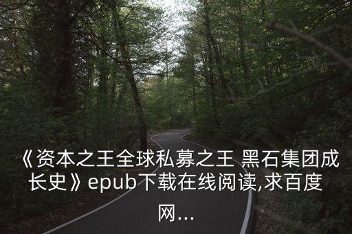 黑石投資經歷,中國投資黑石情況