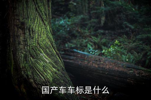 國(guó)產(chǎn)車車標(biāo)是什么