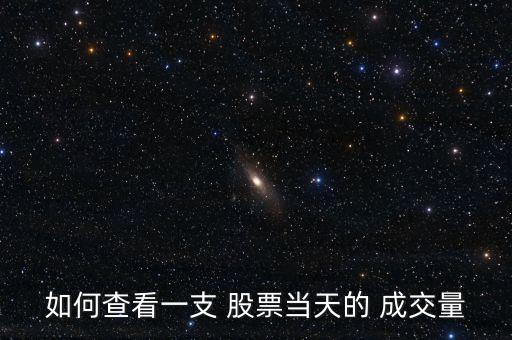如何查看一支 股票當天的 成交量