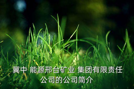  冀中 能源邢臺(tái)礦業(yè) 集團(tuán)有限責(zé)任公司的公司簡介