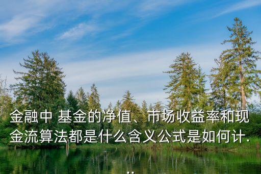 金融中 基金的凈值、市場(chǎng)收益率和現(xiàn)金流算法都是什么含義公式是如何計(jì)...