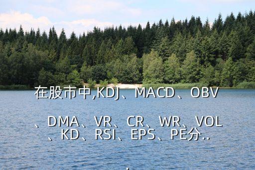 在股市中,KDJ、MACD、OBV、DMA、VR、CR、WR、VOL、KD、RSI、EPS、PE分...