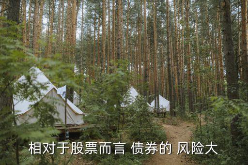 相對于股票而言 債券的 風險大