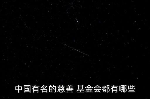 國(guó)內(nèi)大型基金會(huì),國(guó)內(nèi)基金會(huì)的發(fā)展現(xiàn)狀