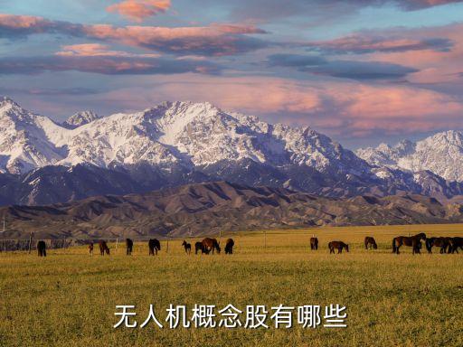 無人機(jī)概念股有哪些