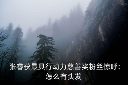 張?；饦I(yè)績(jī),2022基金業(yè)績(jī)排行榜