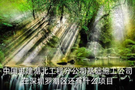 中國電建湖北工程分公司基礎施工公司在深圳羅湖區(qū)還有什么項目