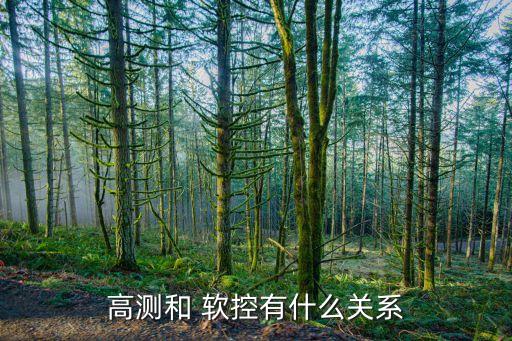 高測和 軟控有什么關系
