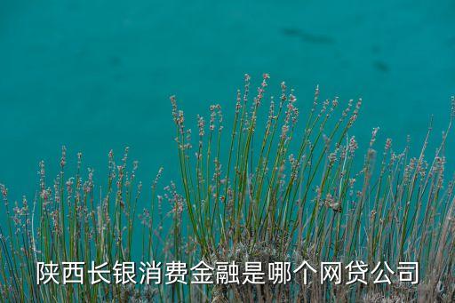 陜西長銀消費(fèi)金融是哪個(gè)網(wǎng)貸公司