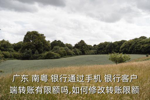 廣東 南粵 銀行通過(guò)手機(jī) 銀行客戶(hù)端轉(zhuǎn)賬有限額嗎,如何修改轉(zhuǎn)賬限額