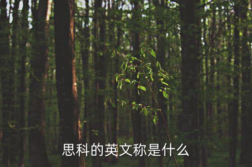 思科的英文稱(chēng)是什么
