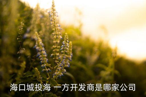 ?？诔峭逗?一方開發(fā)商是哪家公司