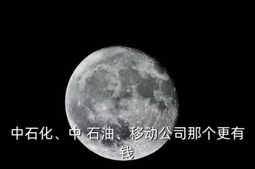 中石化、中 石油、移動(dòng)公司那個(gè)更有錢