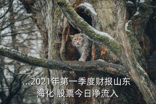 st海化股票,?；善睔v史交易數(shù)據(jù)