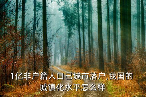 1億非戶(hù)籍人口已城市落戶(hù),我國(guó)的 城鎮(zhèn)化水平怎么樣