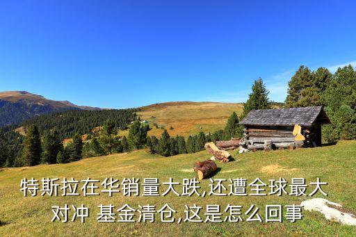 虹口區(qū)對(duì)沖基金產(chǎn)業(yè)