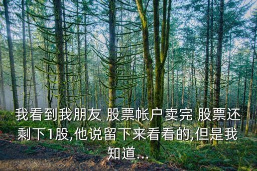 我看到我朋友 股票帳戶(hù)賣(mài)完 股票還剩下1股,他說(shuō)留下來(lái)看看的,但是我知道...