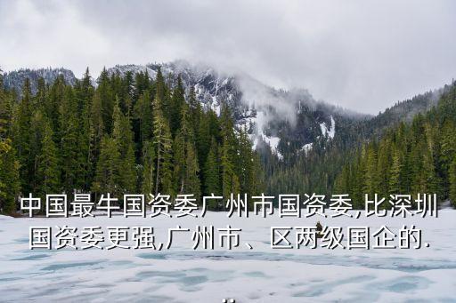 中國最牛國資委廣州市國資委,比深圳國資委更強,廣州市、區(qū)兩級國企的...