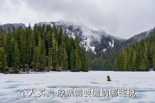 個(gè)人買(mǎi)賣(mài) 股票需要繳納哪些稅