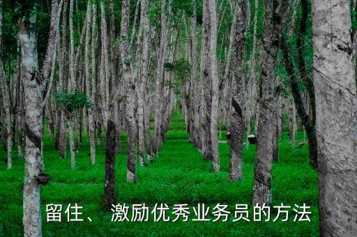留住、 激勵優(yōu)秀業(yè)務員的方法