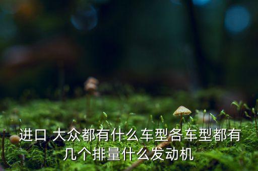  進(jìn)口 大眾都有什么車型各車型都有幾個(gè)排量什么發(fā)動機(jī)