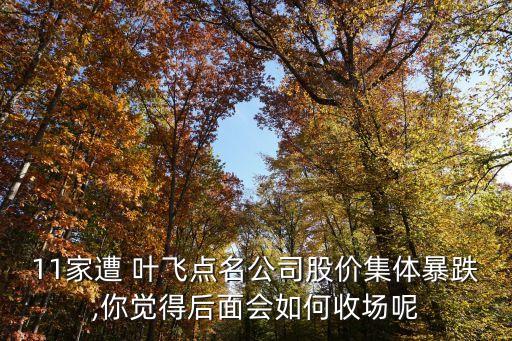 11家遭 葉飛點(diǎn)名公司股價(jià)集體暴跌,你覺得后面會如何收場呢