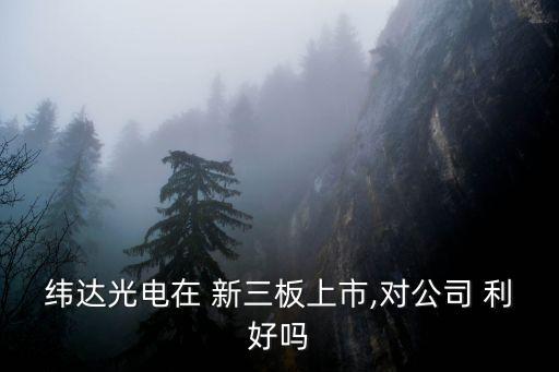 緯達(dá)光電在 新三板上市,對公司 利好嗎