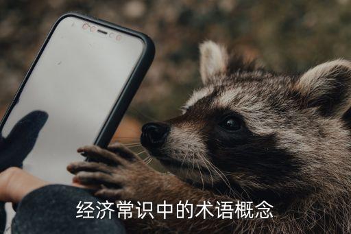 經(jīng)濟(jì)常識(shí)中的術(shù)語(yǔ)概念