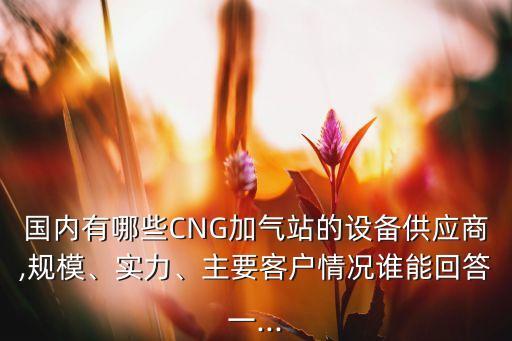 國內(nèi)有哪些CNG加氣站的設(shè)備供應(yīng)商,規(guī)模、實(shí)力、主要客戶情況誰能回答一...