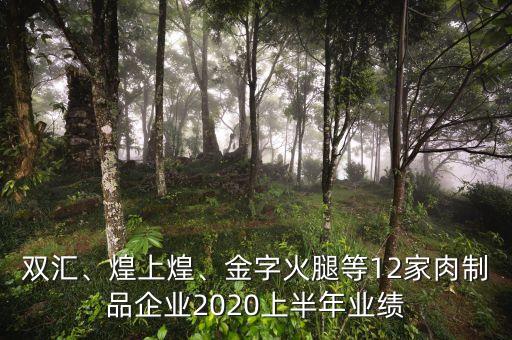雙匯、煌上煌、金字火腿等12家肉制品企業(yè)2020上半年業(yè)績(jī)