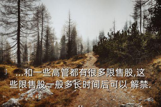 ...和一些高管都有很多限售股,這些限售股一般多長時(shí)間后可以 解禁...