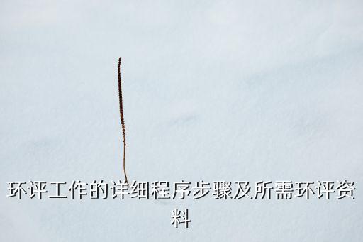 環(huán)評工作的詳細(xì)程序步驟及所需環(huán)評資料
