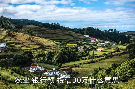 農(nóng)業(yè) 銀行預(yù) 授信30萬(wàn)什么意思