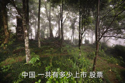 中國(guó) 一共有多少上市 股票
