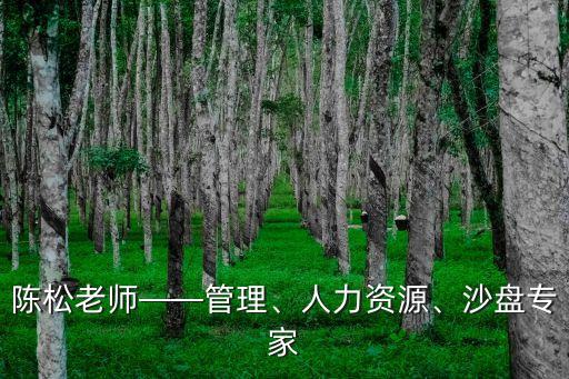 陳松老師——管理、人力資源、沙盤專家