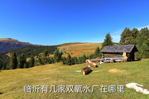 臨沂有幾家雙氧水廠(chǎng)在哪里