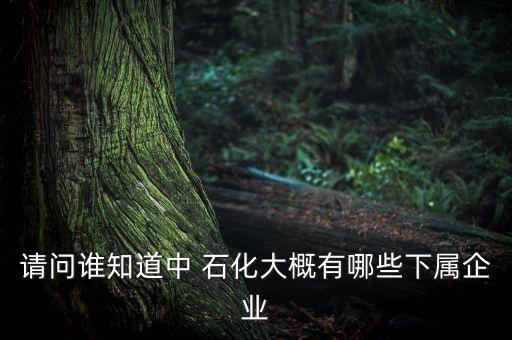 請問誰知道中 石化大概有哪些下屬企業(yè)
