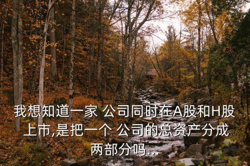 我想知道一家 公司同時在A股和H股 上市,是把一個 公司的總資產分成兩部分嗎...