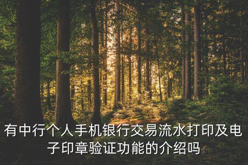 有中行個人手機(jī)銀行交易流水打印及電子印章驗證功能的介紹嗎