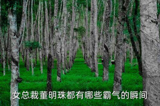格力空調公司董事長