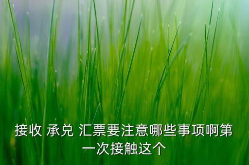 接收 承兌 匯票要注意哪些事項啊第一次接觸這個