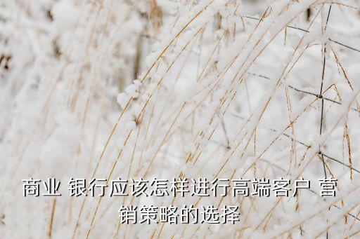 商業(yè) 銀行應(yīng)該怎樣進(jìn)行高端客戶(hù) 營(yíng)銷(xiāo)策略的選擇