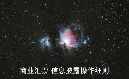 商業(yè)匯票 信息披露操作細則