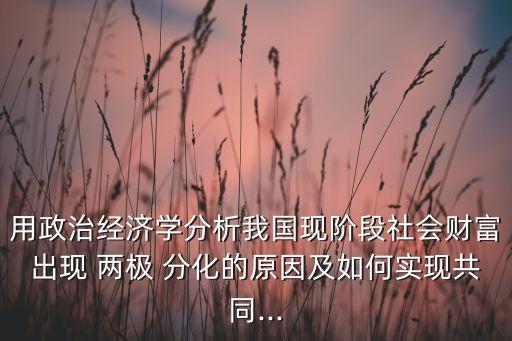 用政治經(jīng)濟(jì)學(xué)分析我國現(xiàn)階段社會財(cái)富出現(xiàn) 兩極 分化的原因及如何實(shí)現(xiàn)共同...