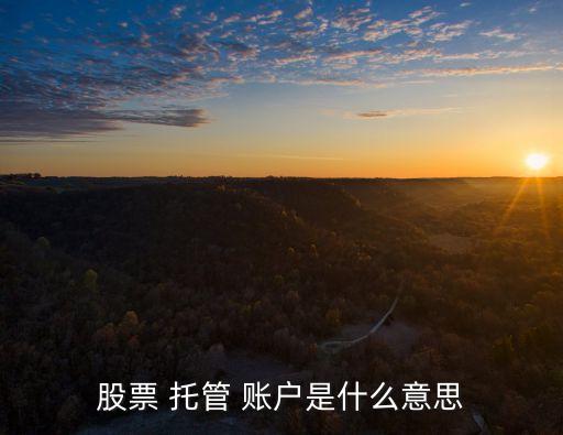 投資資產(chǎn)托管賬戶(hù),資產(chǎn)托管賬戶(hù)的賬戶(hù)性質(zhì)