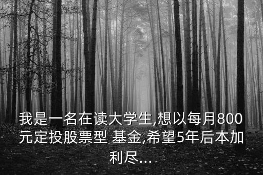 我是一名在讀大學生,想以每月800元定投股票型 基金,希望5年后本加利盡...