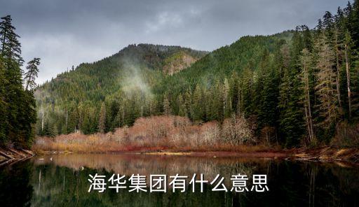 海華集團有什么意思