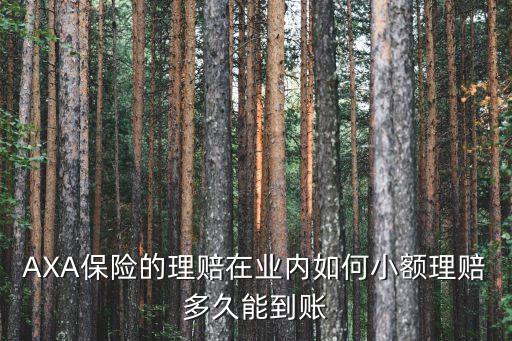 AXA保險的理賠在業(yè)內如何小額理賠多久能到賬