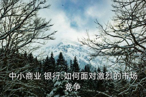 中小商業(yè) 銀行:如何面對(duì)激烈的市場(chǎng)競爭