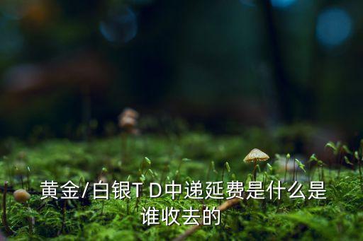  黃金/白銀T D中遞延費(fèi)是什么是誰(shuí)收去的